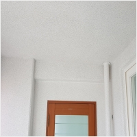 달래페인트 PC 갤러리 8